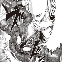 Saitama bat le Roi des monstroterres