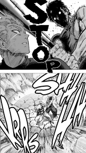 Metal Bat spares Garou