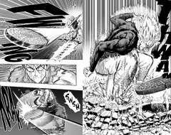 Garou Vs Metal Bat One Punch Man Wiki Fandom One punch man manga online in high quality. garou vs metal bat one punch man