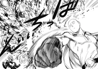 Shiverhuahua is killed by Saitama.
