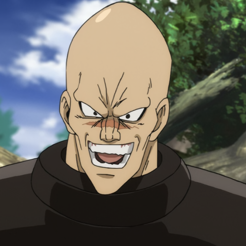 Characters, One-Punch Man Wiki, Fandom, one punch man characters