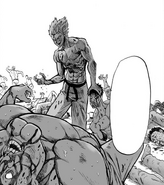 Garou/Manga Gallery, One-Punch Man Wiki