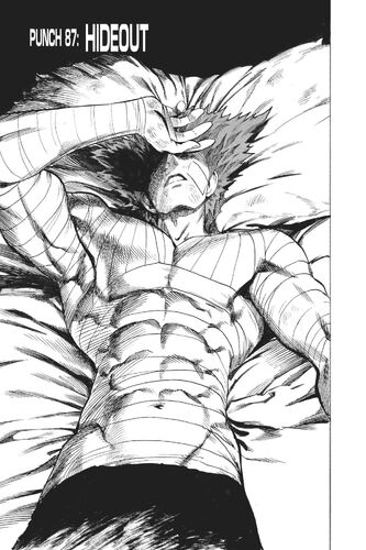 Saitama vs. Awakened Garou, One-Punch Man Wiki