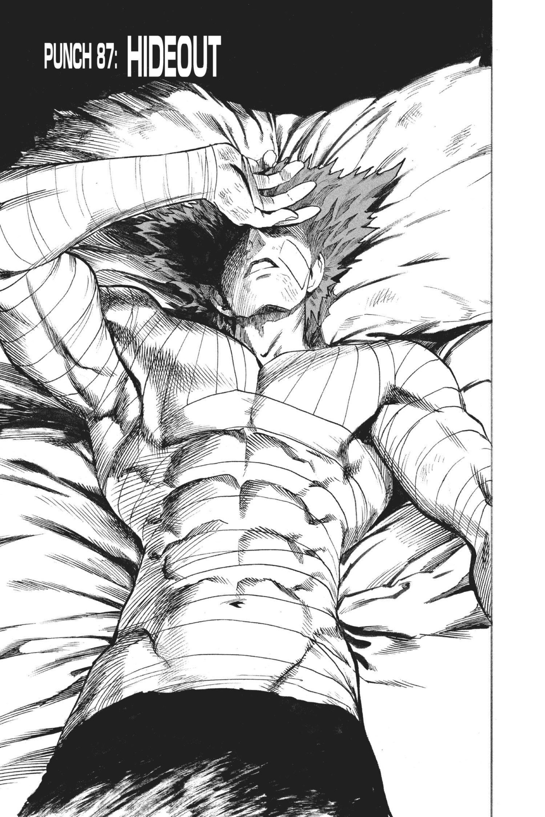 Saitama vs. Garou, One Punch-Man Wiki