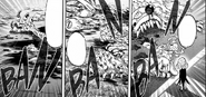 Several monsters killed by Saitama ("Tatsumaki's Day Off")