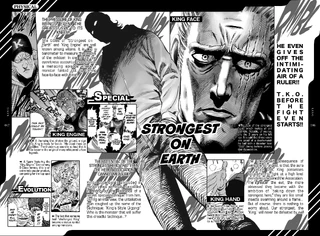 Databook King 2