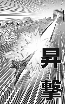 Calamity In One Punch Man World