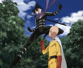 Saitama vs. Speed-o'-Sound Sonic