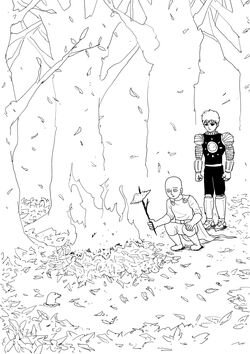 Original Webcomic Cover Gallery One Punch Man Wiki Fandom