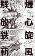 Garou uses Exploding Heart Release Fist and Whirlwind Iron Cutting Fist on Saitama