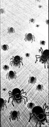 Jumping Spider babies ("Numbers")