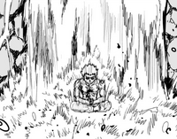 Garou meditating under a waterfall near the place in the original webcomic