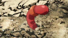 Dirt Earthworm