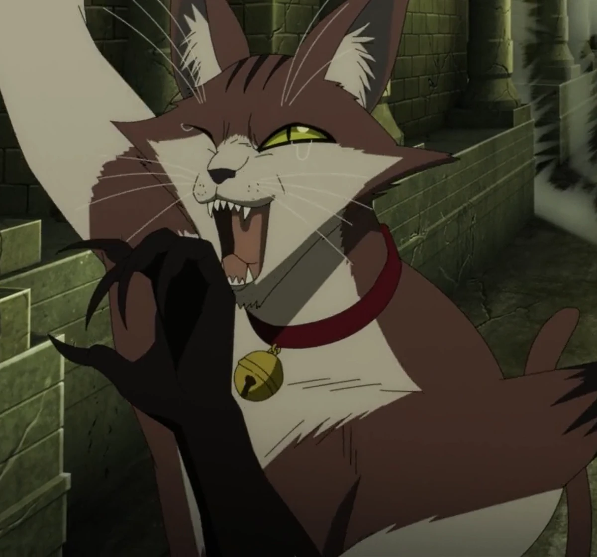 Nyan | One-Punch Man Wiki | Fandom
