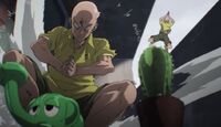 Saitama VS un moustique