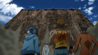 Ova earthworm wall