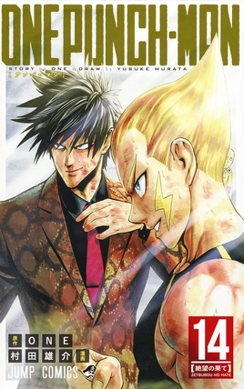 Volumen 14