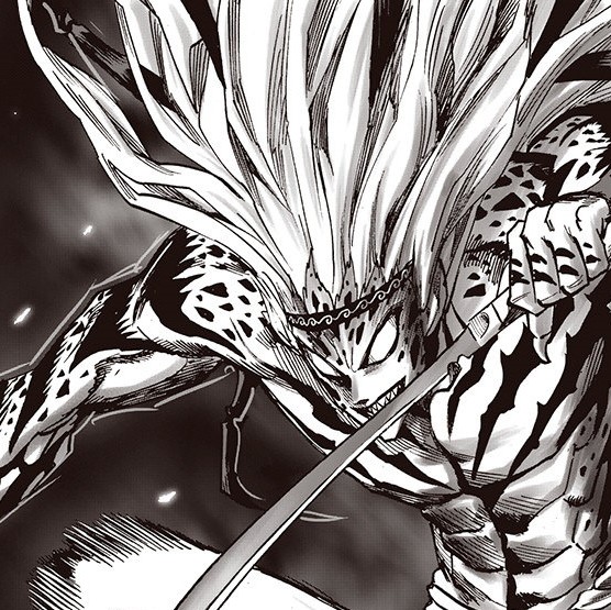 Garou (One Punch Man), Villains Wiki