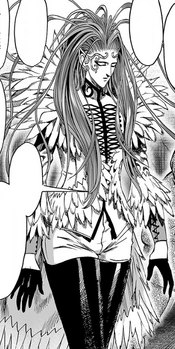 Full appearance