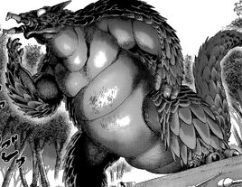 Carapadon