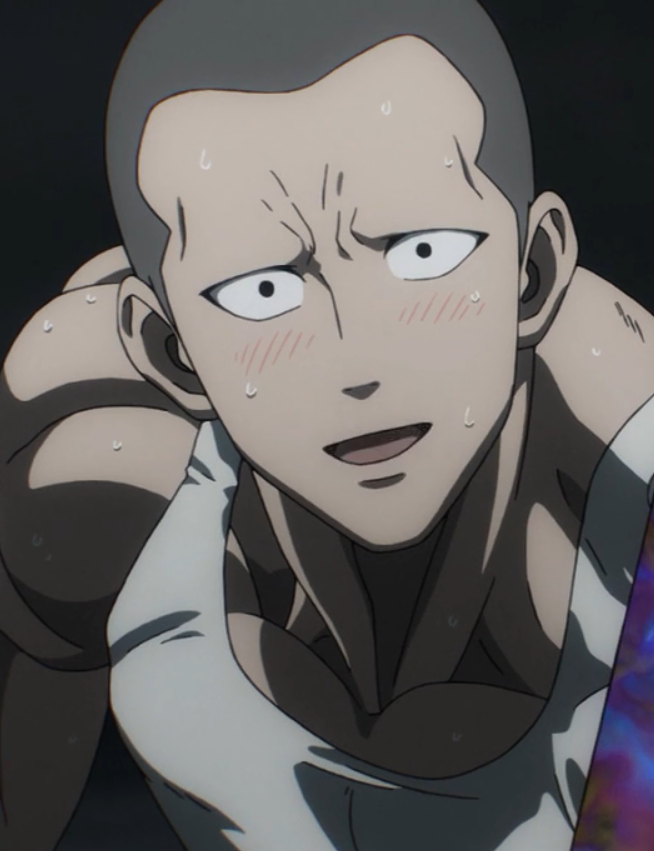 Characters, One-Punch Man Wiki, Fandom