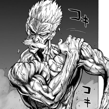 Featured image of post Mizuki One Punch Man Wiki No garou vs boros discussion
