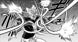 Garou Deflect