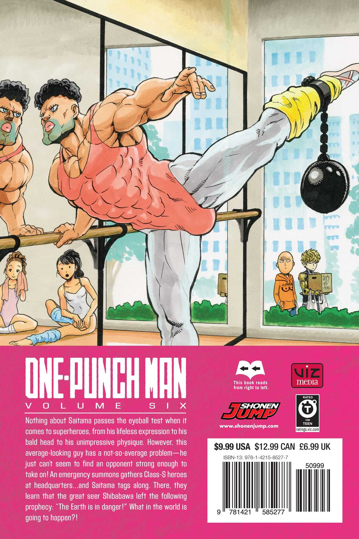 VIZ  Read a Free Preview of One-Punch Man, Vol. 6