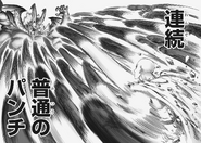 Saitama attacks Garou with Consecutive Normal Punches