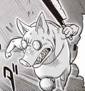Unnamed pig-like monster running from Chinpi and Asami before being eaten by Pig God