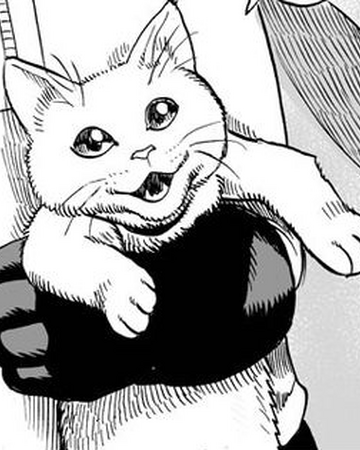 Torako One Punch Man Wiki Fandom (sonic poco prima di risvegliarsi in ospedale.) « se gli eroi scappano e si nascondono, chi resterà a combattere? torako one punch man wiki fandom