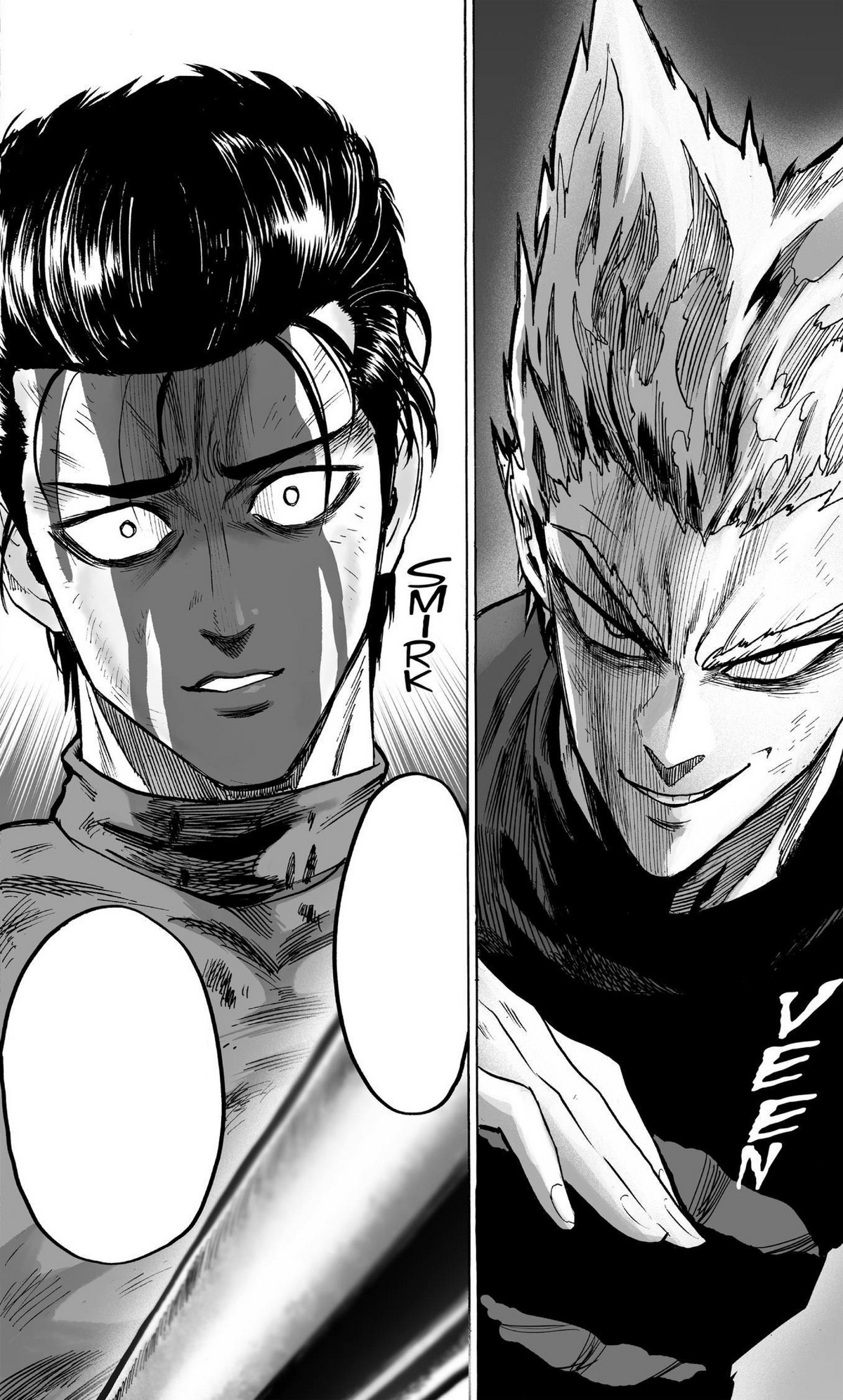 garou  One punch man manga, One punch man, One punch man anime