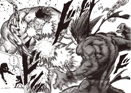 Garou vs Puri-Puri Prisoner