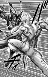 Garou, One-Punch Man Wiki