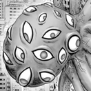 Pulpo de Cien Ojos