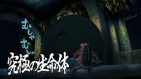 Season 3 Episode 12