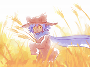 Niko in a wheat field