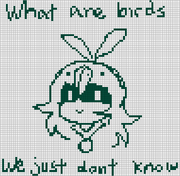 What are birds.png