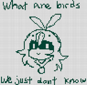 What are birds