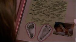 Brooke's birth certificate and picture
