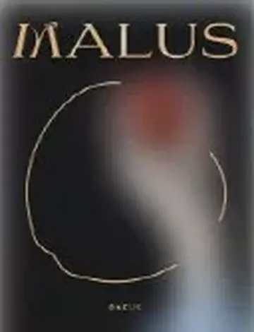 ONEUS MALUS  SAME SCENT 公開放送番組 トレカ ファヌン 원어스] 'Same Scent' Live Performance Photo📸 #ONEUS #MALUS