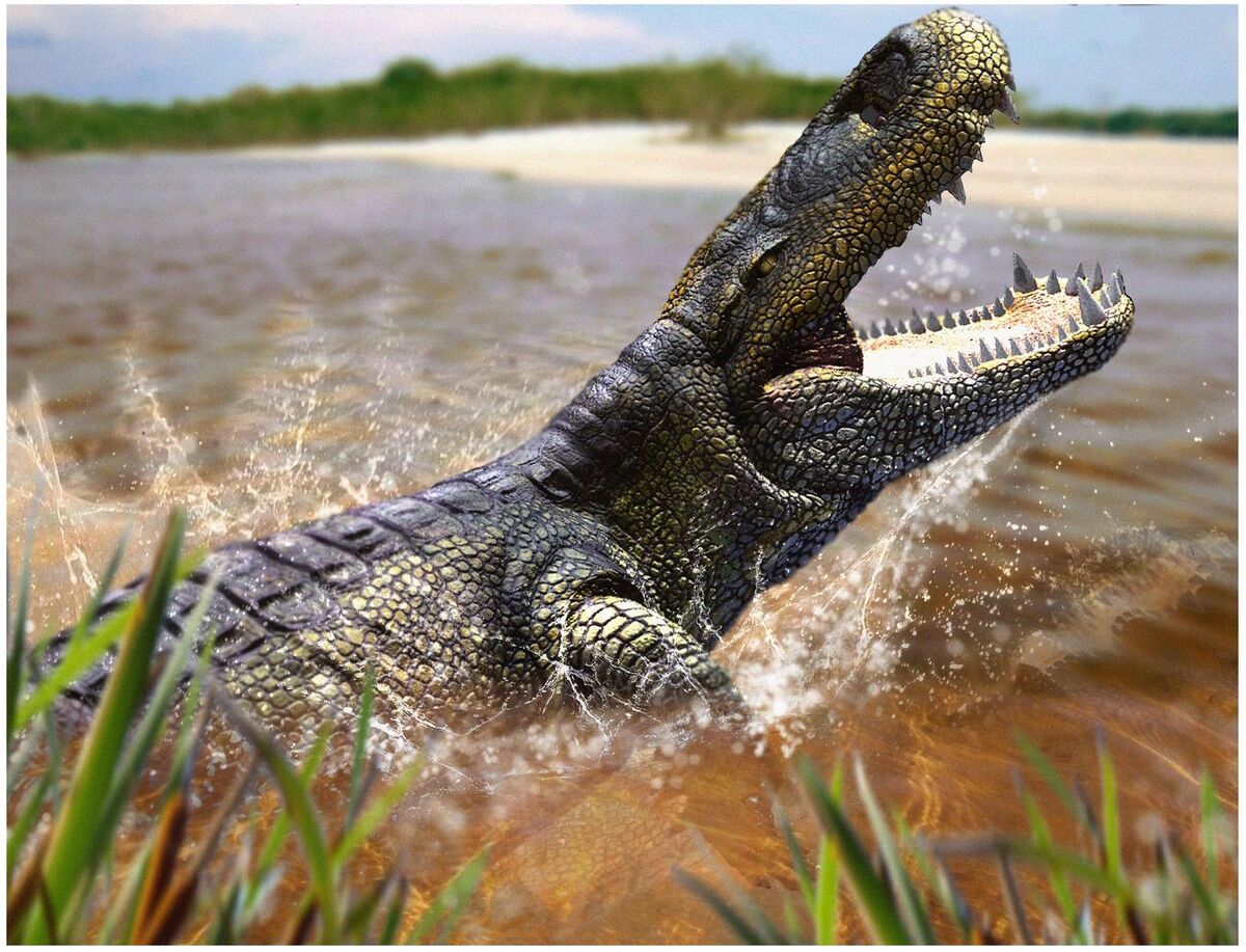 Предки современных рептилий. Пурусзавр крокодил. Гигантский Кайман пурусзавр. Purussaurus Brasiliensis. Пурусзавр доисторические крокодил.