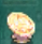 Dimensional Golden Coin.png