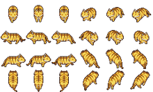 -Animal-Tiger.png