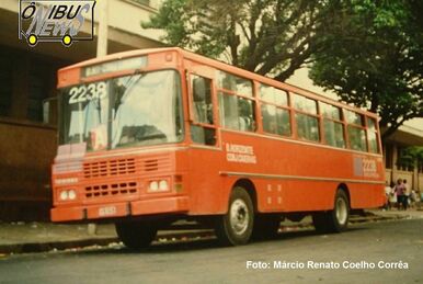 119 (Belo Horizonte), Wiki Ônibus BH