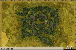 Inaki Woods