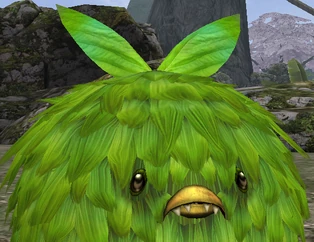 Kason the Scholar dressed up as a Kijimuna during the quest "A new breed of Kijimuna?" (This photo was taken back when Kijimuna were green not blue
