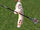 Oak Staff