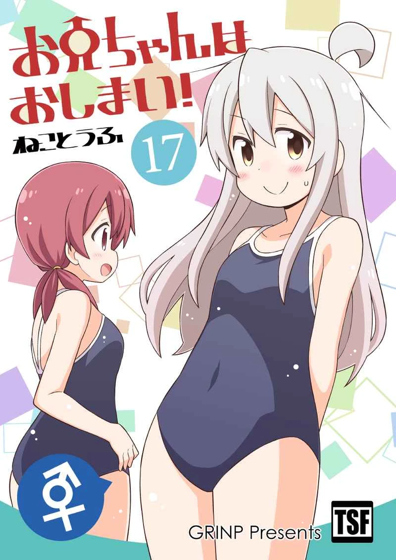 Doujinshi Volume 17 | Onii-chan wa Oshimai! Wiki | Fandom