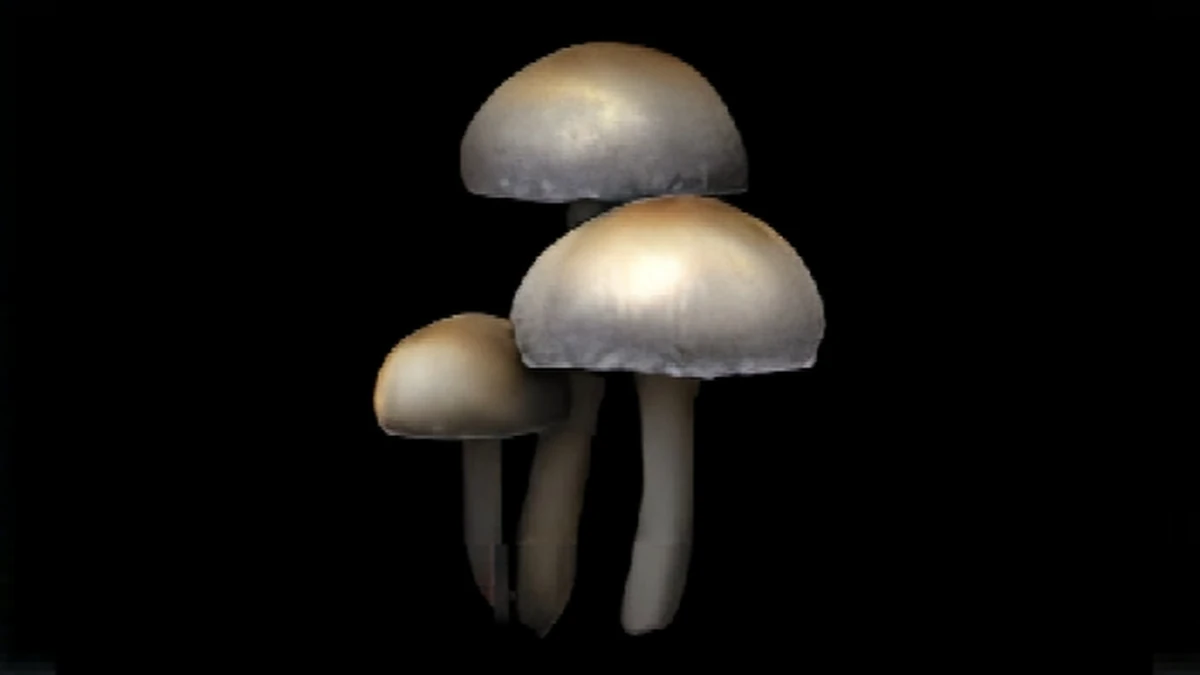 Unique Mushroom | Onimusha Wiki | Fandom